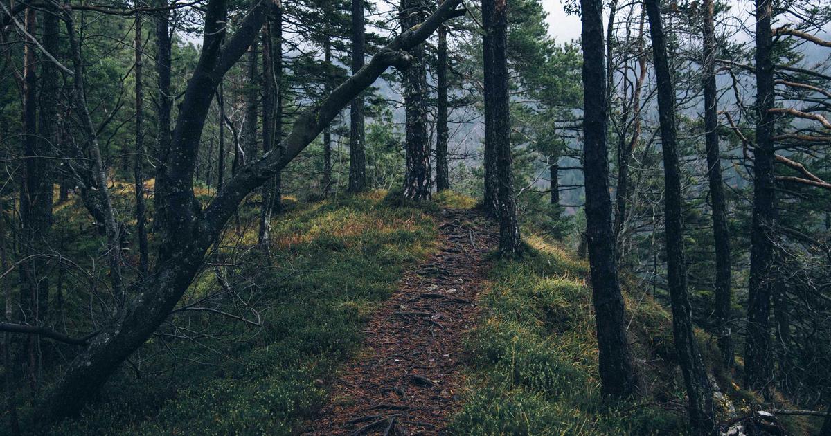 指纹浏览器有用吗？选择哪家指纹浏览器好？